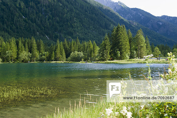 Deutschland  Bayern  Blick auf den Teich mit Alpen