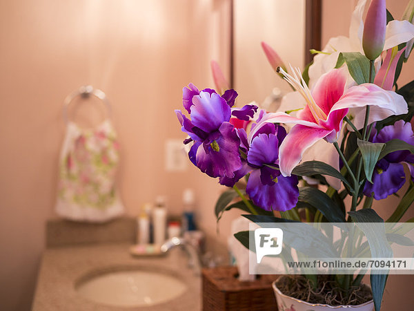 USA  Interieur des Badezimmers mit Kunstblumen