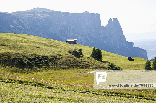 Italien  Blick auf Seiser Alm  Schlern und Santner Spitze im Hintergrund bei Südtirol