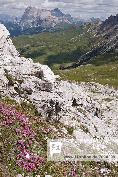 Italien  Blick vom Gipfel Petz auf Langkofel  Plattkofel und Seiser Alm bei Südtirol