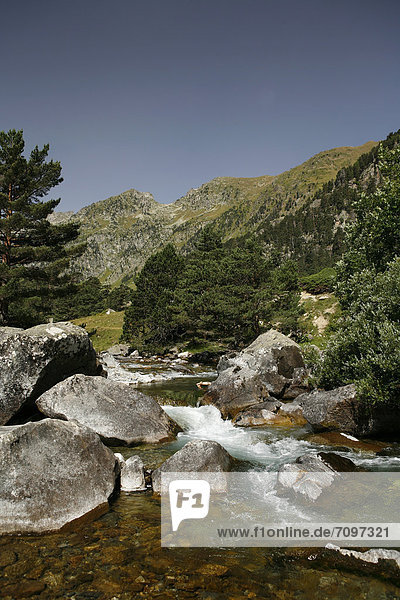 Wildbach  Landschaft in den Pyrenäen  französische Pyrenäen  Nationalpark bei ArgelËs-Gazost  Region Midi-PyrÈnÈes  DÈpartement Hautes-PyrÈnÈes  Frankreich  Europa