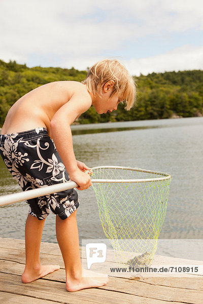 Junge schaut auf Frosch im Netz gefangen