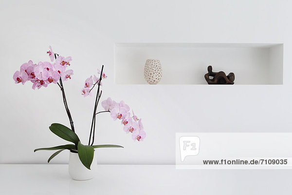 Rosa Orchideenpflanze und Ornamente im Zimmer