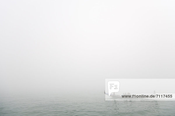 Gondola in the fog  Venice  Venezia  Veneto  Italy  Europe