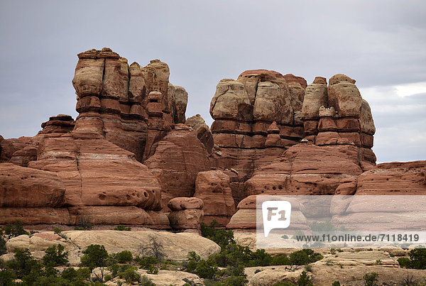 Felsformation Elephant Hill  The Needles District  Canyonlands-Nationalpark  Utah  Vereinigte Staaten von Amerika  USA