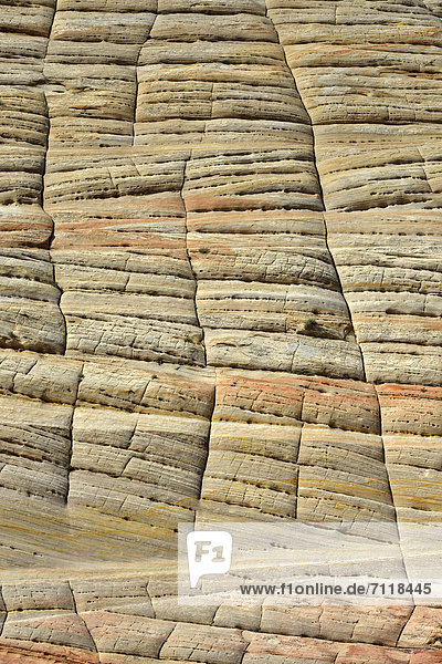 Teilansicht  Sandsteinstruktur des Checkerboard Mesa Tafelberg  Zion-Nationalpark  Utah  Vereinigte Staaten von Amerika  USA