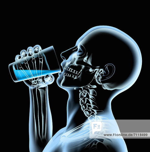 Röntgenaufnahme eines Mannes der aus einem Glas trinkt
