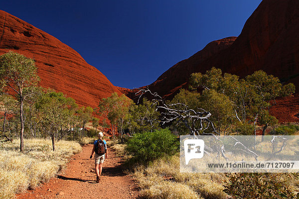 Landschaftlich schön  landschaftlich reizvoll  Olgas  Kata Tjuta  Frau  Weg  Einsamkeit  Australien  Wanderweg  Northern Territory  Rotes Kliff