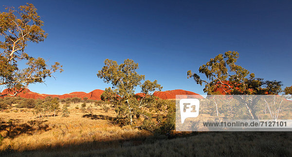 Landschaftlich schön  landschaftlich reizvoll  Olgas  Kata Tjuta  Einsamkeit  Australien  Northern Territory  Rotes Kliff