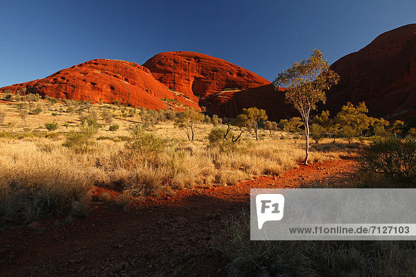 Landschaftlich schön landschaftlich reizvoll Olgas Kata Tjuta Weg Einsamkeit Australien Wanderweg Northern Territory Rotes Kliff