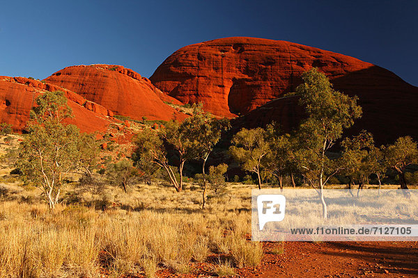 Landschaftlich schön landschaftlich reizvoll Olgas Kata Tjuta Weg Einsamkeit Australien Wanderweg Northern Territory Rotes Kliff