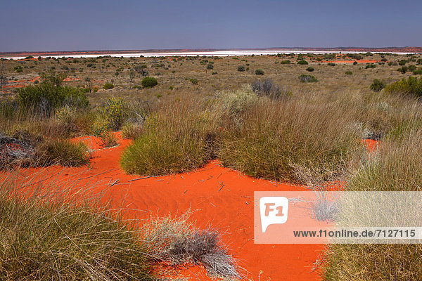 Ayers Rock  Uluru  Wüste  Sand  rot  Gras  Outback - Australien  Australien  Northern Territory  Speisesalz  Salz  Salzsee  Steppe