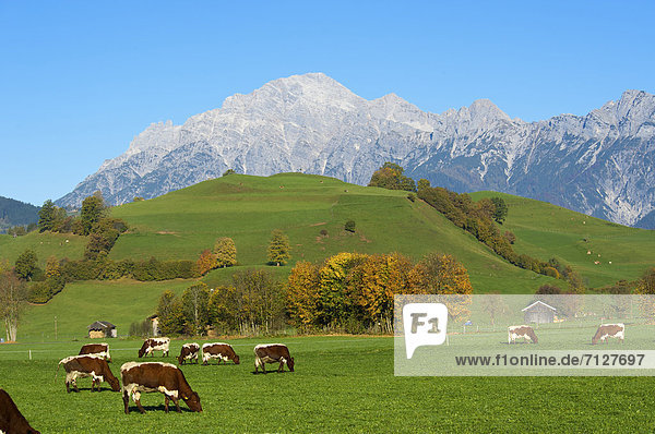 Außenaufnahme  Landschaftlich schön  landschaftlich reizvoll  Europa  Berg  Tag  niemand  Natur  Alpen  Herbst  Österreich  freie Natur