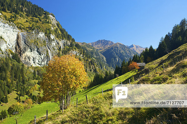 Außenaufnahme  Landschaftlich schön  landschaftlich reizvoll  Europa  Berg  Tag  niemand  Natur  Alpen  Herbst  Österreich  freie Natur  Pongau