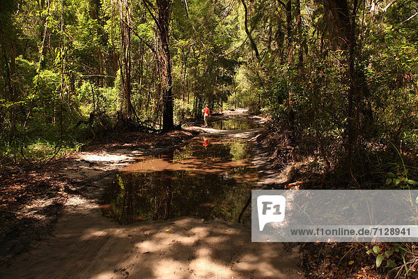 Wasser Rollbahn überqueren Inspektion Abenteuer Attraktivität Baum Wald Natur Holz Pfütze Sand Einsamkeit Geländewagen Flut Allradantrieb Australien Kreuz tief Fraser Island Queensland Steppe Sonne Tourismus