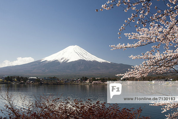 Japan  Asia  holiday  travel  Cherry blossoms  Yamaguchi  lake  Fuji  Mount Fuji  Fujiyama  landscape  mountain  snow  spring  volcano