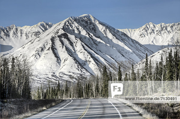 steese highway Alaska USA United States America road mountain nature