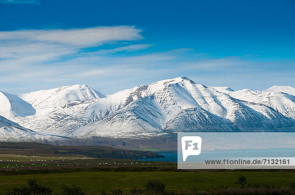 Landschaftlich schön  landschaftlich reizvoll  Europa  Berg  Natur  Island  Schnee