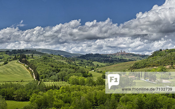 Landschaftlich schön  landschaftlich reizvoll  Europa  Wolke  Hügel  grün  Feld  Toskana  Italien  San Gimignano