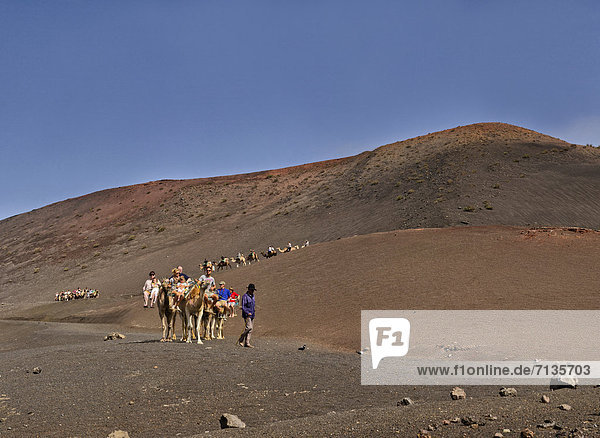 Spain  Lanzarote  Parque Nacional  national park  Timanfaya  Camel ride  Fire mountains  landscape  summer  mountains  hills  people  Canary Islands  dromedary