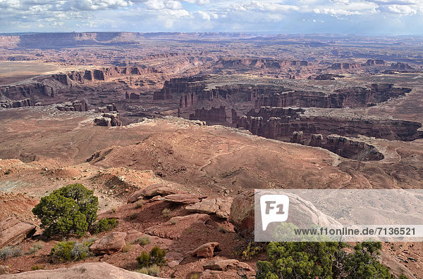 Blick vom Grand View Point in den Colorado River Canyon  Canyonlands-Nationalpark  Moab  Utah  USA