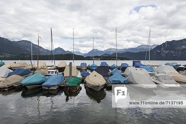 Boote auf dem Vierwaldstättersee in Meggen  Luzern  Schweiz  Europa