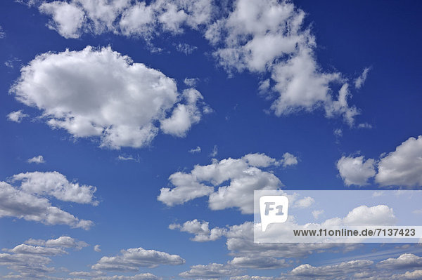 Schönwetterwolken (Cumulus)