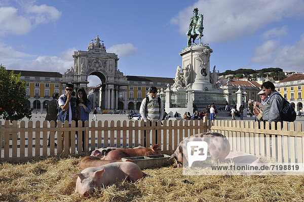 Film set with pigs on PraÁa do ComÈrcio square  Lisbon  Portugal  Europe