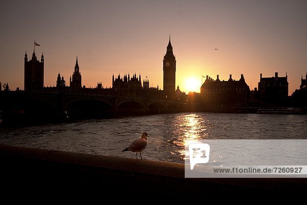 Sunset over Westminster Bridge  Houses of Parliament and Big Ben  UNESCO World Heritage Site  London  England  United Kingdom  Europe