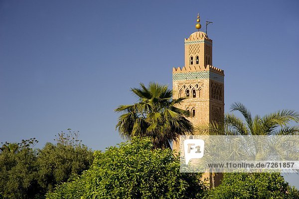 Nordafrika  Baum  umgeben  Marrakesch  Koutoubia-Moschee  Afrika  Minarett  Marokko  Moschee