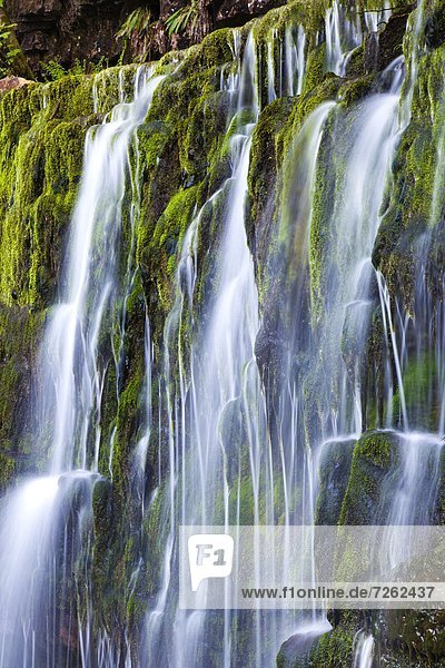 Waterfall  Brecon Beacons  Wales  United Kingdom  Europe