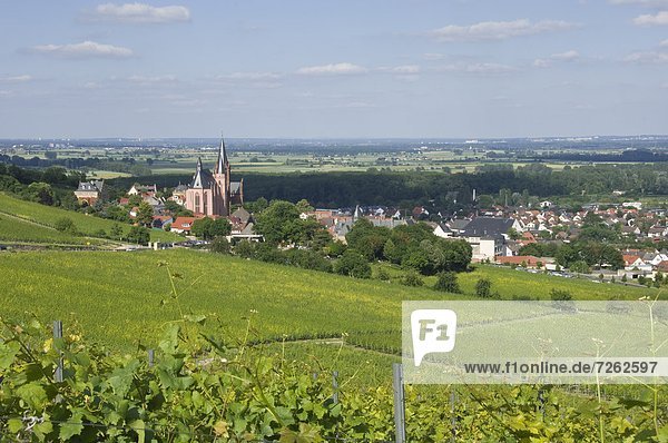 Europa  Wein  Tal  Stadt  Kirche  Ansicht  Deutschland  Oppenheim