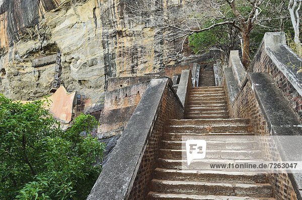 Stufe  Felsbrocken  führen  Löwe  Panthera leo  hoch  oben  UNESCO-Welterbe  Asien  Sigiriya  Sri Lanka