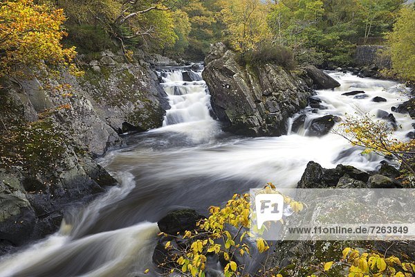 nahe  Europa  Großbritannien  Fluss  Herbst  04 Umgebung  Laub  Schottland  Stirling