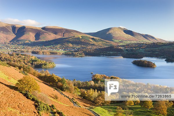 Derwent Water Skiddaw and Blencathra from the slopes of Catbells Lake District National Park Cumbria England United Kingdom Europe