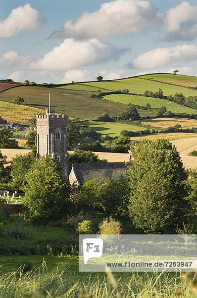 Ländliches Motiv  ländliche Motive  rollen  Europa  Großbritannien  Kirche  umgeben  Devon  England