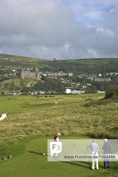 Royal St. David's Golf Club and Harlech Castle in summer sunshine  Harlech  Gwynedd  Wales  United Kingdom  Europe