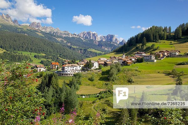 Moena  Fassa Valley  Trento Province  Trentino-Alto Adige/South Tyrol  Italian Dolomites  Italy  Europe