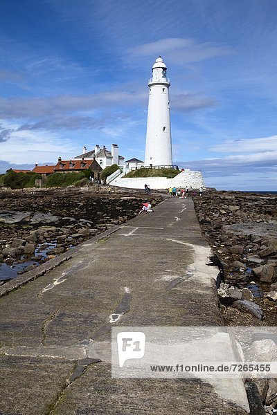 Causeway to St. Mary's Lighthouse on St. Mary's Island  Whitley Bay  North Tyneside  Tyne and Wear  England  United Kingdom  Europe