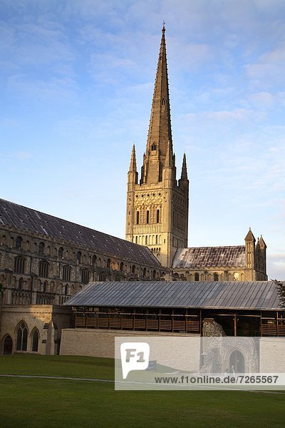 Europa  Großbritannien  Beleuchtung  Licht  Kathedrale  Kirchturm  Norfolk  England  Norwich