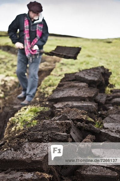 Peat cutting. Foula Island  Shetland Islands  Scotland  United Kingdom  Europe