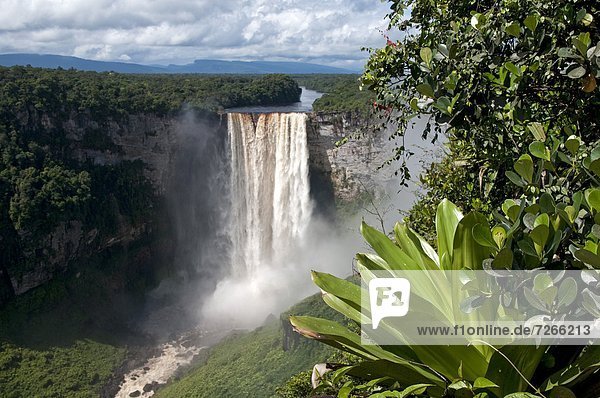 Hintergrund  Guyana  Südamerika