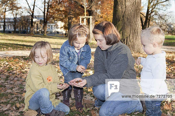 Three children and their mother collecting acorns in the park