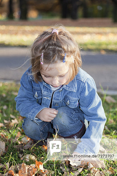 Vierjährigen Mädchens sammelt Eicheln im herbstlichen Park