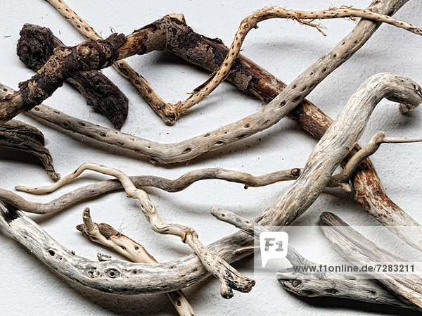 Pieces of driftwood