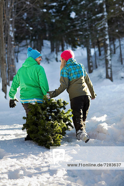 Couple dragging christmas tree through snow