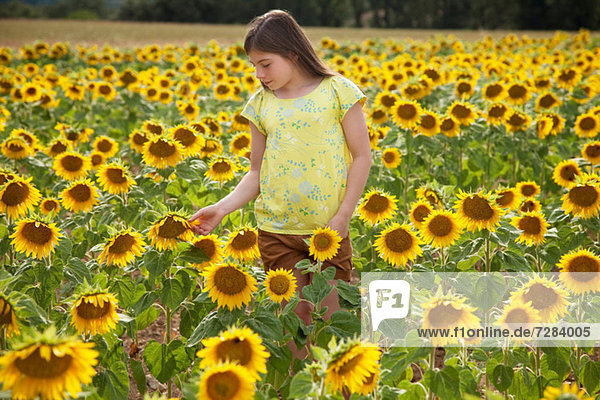 Mädchen im Feld mit Sonnenblumen