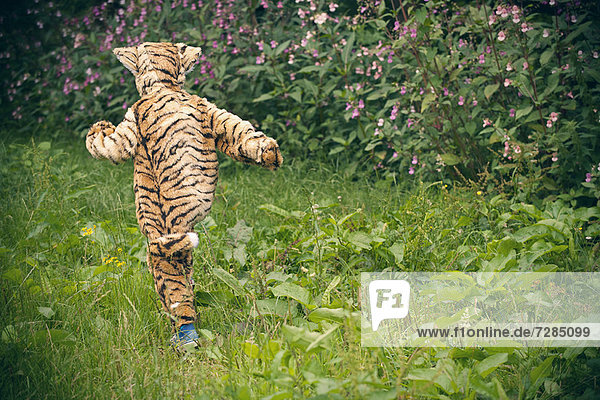 Junge im Tigerkostüm im Freien