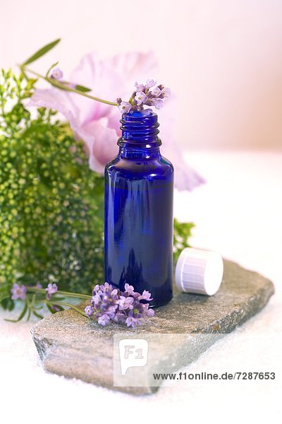 Blaue Glasflasche und Lavendel und Orchidee in einer Blumenvase