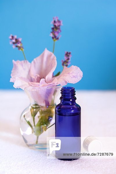 Blaue Glasflasche und Lavendel und Orchidee in einer Blumenvase